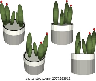 vector illustration of a succulent cactus plant to decorate the interior of the house