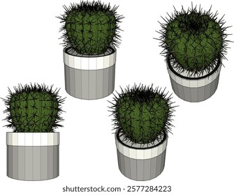 vector illustration of a succulent cactus plant to decorate the interior of the house