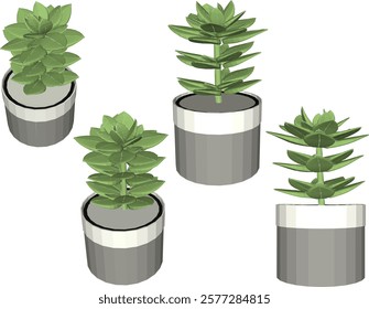 vector illustration of a succulent cactus plant to decorate the interior of the house