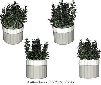 vector illustration of a succulent cactus plant to decorate the interior of the house