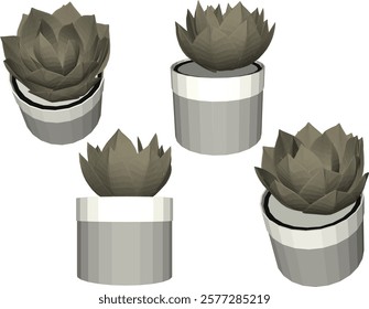 vector illustration of a succulent cactus plant to decorate the interior of the house