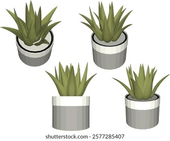 vector illustration of a succulent cactus plant to decorate the interior of the house