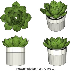 vector illustration of a succulent cactus plant to decorate the interior of the house