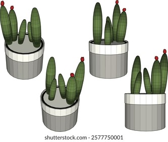 vector illustration of a succulent cactus plant to decorate the interior of the house 