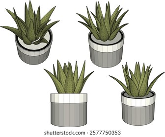 vector illustration of a succulent cactus plant to decorate the interior of the house 