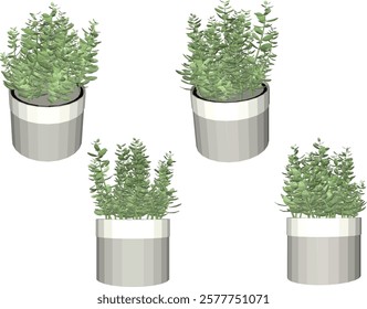 vector illustration of a succulent cactus plant to decorate the interior of the house