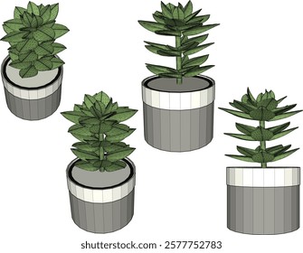 vector illustration of a succulent cactus plant to decorate the interior of the house 