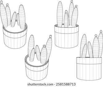 vector illustration of a succulent cactus plant to decorate the interior of the house