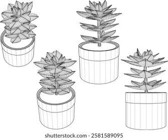 vector illustration of a succulent cactus plant to decorate the interior of the house