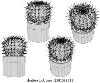 vector illustration of a succulent cactus plant to decorate the interior of the house