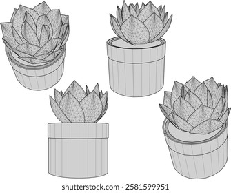 vector illustration of a succulent cactus plant to decorate the interior of the house