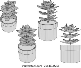 vector illustration of a succulent cactus plant to decorate the interior of the house