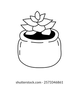 Vector illustration of a succulent in the doodle style. Isolate on a white background