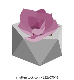Vector illustration with succulent in geometric flowerpot isolated on background