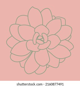 Vector illustration of succulent isolated on a pink background. Doodle sketch. Pattern.