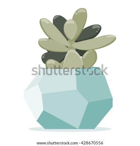 Vector illustration with succulent plant in geometric polygonal pot. Simple flat vector style.