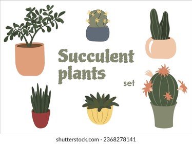 Vector illustration with succulent plants set