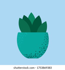 Vector illustration of a succulent in a pot.