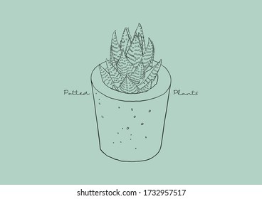 Ilustración vectorial de suculento en una cacerola / plantas potentes / planta doméstica