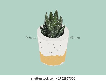 Vector Illustration of Succulent in a Pot / Potted Plants / Houseplant