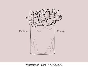 Vector Illustration of Succulent in a Pot / Potted Plants / Houseplant