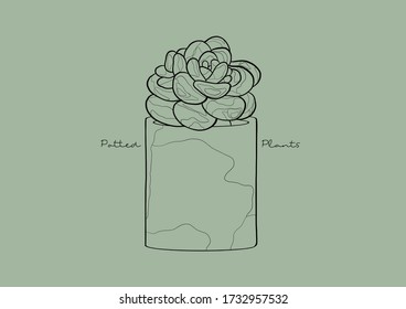 Vector Illustration des Sukkulenten in einem Topf / Topfpflanzen / Haushaltspflanze