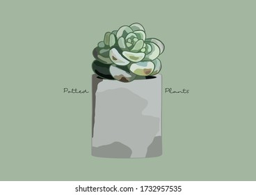 Vector Illustration of Succulent in a Pot / Potted Plants / Houseplant