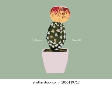 Vector Illustration of Succulent in a Pot / Potted Plants / Houseplant, Blooming, Flower