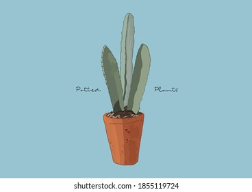 Vector Illustration of Succulent in a Pot / Potted Plants / Houseplant