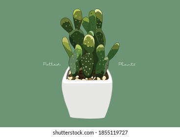 Vector Illustration of Succulent in a Pot / Potted Plants / Houseplant