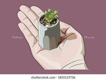 Ilustración vectorial de Suculento en una olla / Plantas Potadas / Hogar, Pequeña, Mini, Pequeña, en Palm