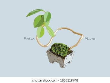 Vector Illustration of Succulent in a Pot / Potted Plants / Houseplant / Mini Bonsai