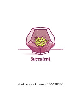 Vector illustration succulent in terrarium