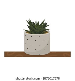 vector illustration of suculent flower, gasteria in stylish pot, polka dot flower pot