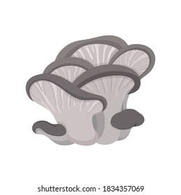 Vector illustration suede bolete. Edible mushroom flat icon. Suede bolete mushroom.