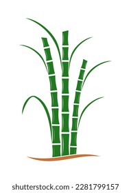 vector illustration of sugar cane icon on white background