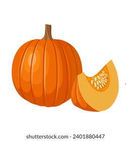 Vector illustration, sugar pie pumpkin, whole and cut, isolated on white background.