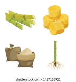 Vector illustration of sugarcane and cane icon. Set of sugarcane and field stock symbol for web.