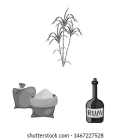 Vector illustration of sugarcane and cane logo. Set of sugarcane and field stock vector illustration.