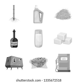 Vector illustration of sugarcane and cane sign. Collection of sugarcane and field stock vector illustration.