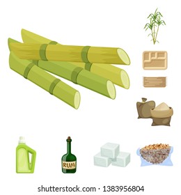 Vector illustration of sugarcane and cane sign. Set of sugarcane and field stock vector illustration.