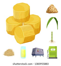 Vector illustration of sugarcane and cane symbol. Set of sugarcane and field stock symbol for web.