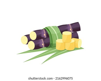 Vector illustration of sugarcane, isolated on white background, suitable as a packaging label for processed sugarcane products.