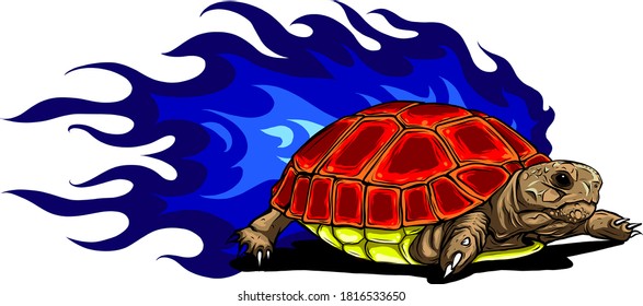 vector Illustration of Sulcata land tortoise design