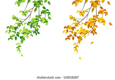 Vector illustration of summer and autumn branches