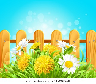 Vector illustration of summer background daisies and dandelions in the grass