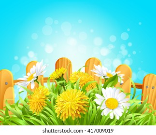 Vector illustration of summer background daisies and dandelions in the grass