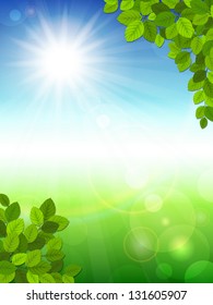 Vector illustration of a summer background with green leaves