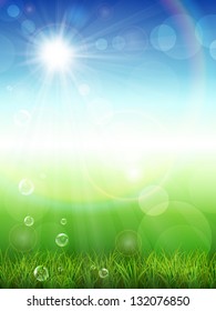 Vector illustration of the summer background with green grass