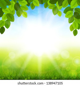 Vector illustration summer background with the leaves